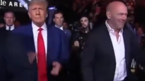 UFC: Trump vs Biden