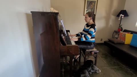 Rainy day Blues - Alfred's Premier Piano level 2a