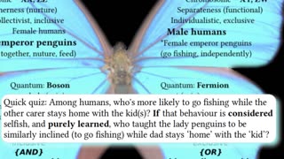 The Dynamics of Gender and Life, Video 1: What about the penguins?