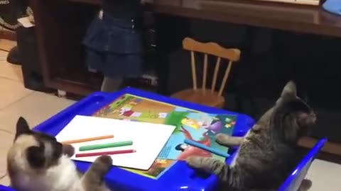 Girl teaching her cats how to draw a flower