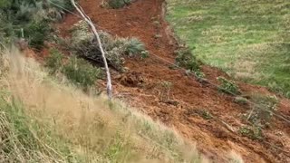 Landslide Caught on Camera After Cyclone Hits New Zealand