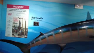 Destin History and Fishing Museum