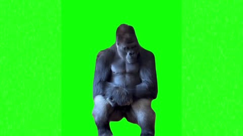 Sad Gorilla meme green screen