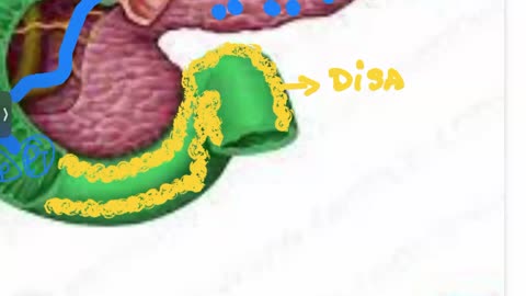 fisiopatología de la nutrición