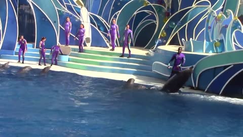 Dolphin days full Show at seaworld San Diego on