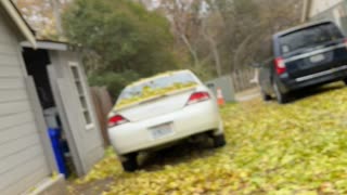 Raking some leaves 🍃