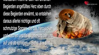 Seelisches Ungeziefer wie Läuse, Flöhe & Wanzen... Jesus erklärt ❤️ Himmelsgaben durch Jakob Lorber