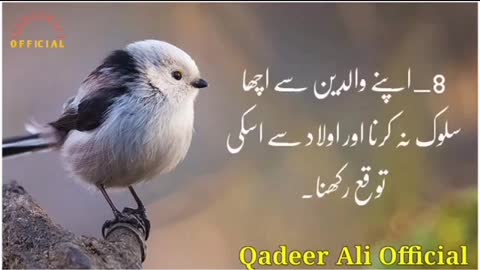 Beautiful quotes in urdu