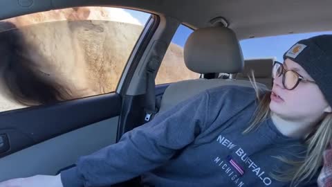 Girl Screams When Bison Comes At Car Window