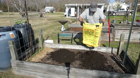 BROCCOLI.........IT"S IN THE GROUND