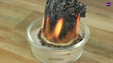 33 Amazing science experiment