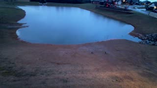 The Pond