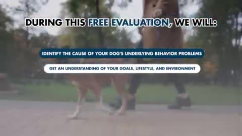 Transform Your Dog's Behavior: Free Evaluation in Salt Lake City!