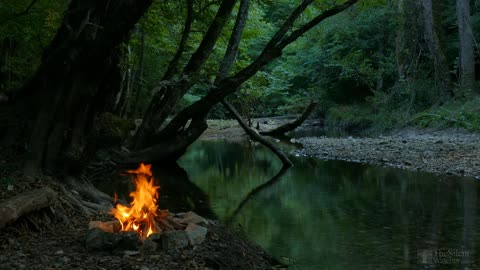 Relaxing Fireplace & Nature Sounds - 4K Campfire by the River