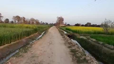 Pakistani Women Life in Punjab Village __ The Most Beautiful Village in Pakistan