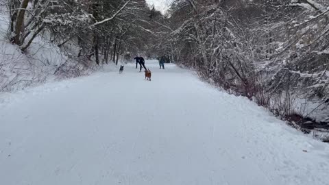 Apollo's 1st Ski Tour