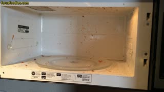 Clean Your DIRTY Microwave to shine - CHEMICAL FREE