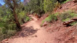 Kayenta Trail Virtual Tour Emerald Pools