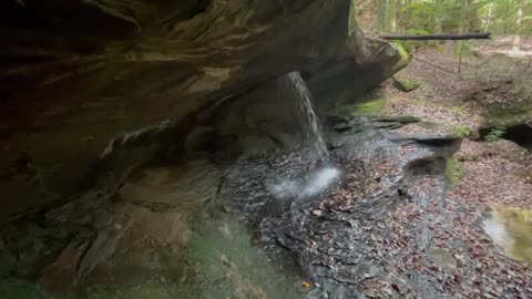 Quillen Creek Loop - Riddle Falls, Big Cascade, Quillen Cascade - Bankhead National Forest