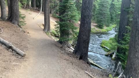 Central Oregon - Three Sisters Wilderness - Long Twisting Creek Alongside Trail