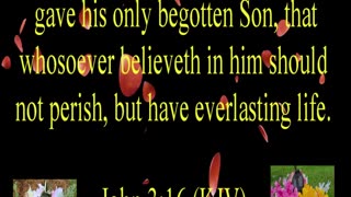 John 3:16 (KJV)