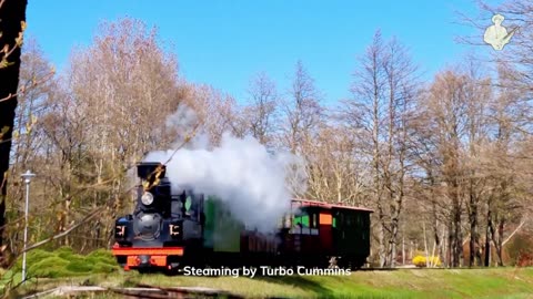 Steaming by Turbo Cummins