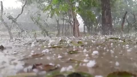 Rain Drop Beautiful Video - Relaxing Sound and Sleeping - Rain and Thunder
