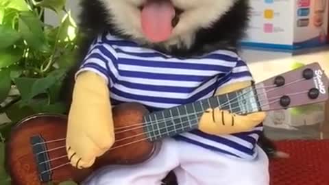 Cute dog try to play guitar
