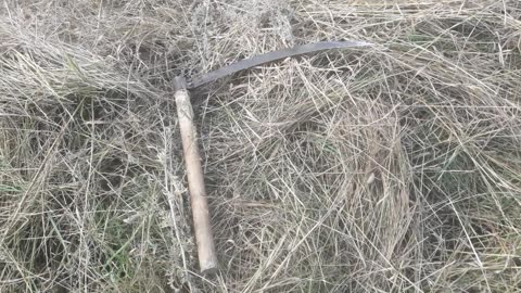 Grandfather's scythe for grass