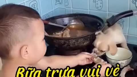 Baby and puppy eating clumsy in the kitchen