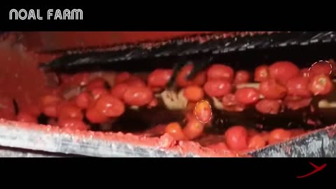 Tomato Processing Technology - How Tomato Ketchup Is Made - Ketchup Tomato Factory