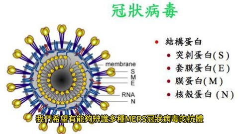 深度腦部刺激 治療失智症