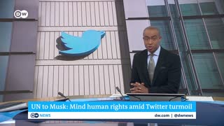 UN urges Elon Musk to safeguard human rights after Twitter takeover