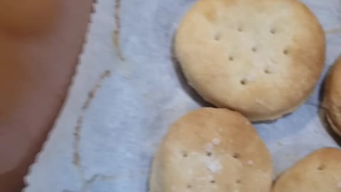 Homestead Saltine Crackers in 30 Seconds!