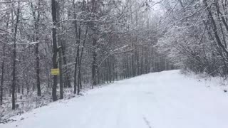 Snow covered Michigan dirt road walk