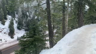 Hiking Around Steep Ridge – Tamanawas Falls – Mount Hood – Oregon