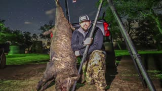 22 GT | 69 Absolute Hammer | Big Boar Hunt