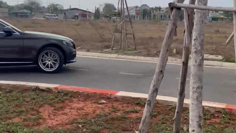 Bull Chases off Mercedes Spinning Donuts in Parking Lot