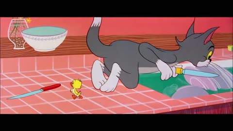 Tom and jerry cartoon for kids