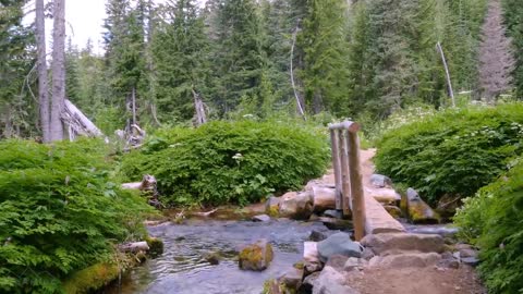 Mount Rainier National Park - Nature Relax Video, Summer Scenery