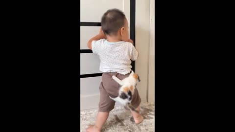 Funny cute babies Animals 🐈🐱💙💕