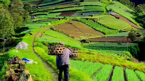 Marongan Sukomakmur Kajoran Magelang