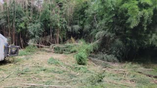 TRACK LOADER FLOSSES TEETH WITH BAMBOO