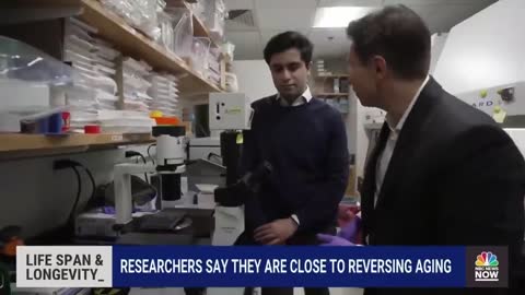 Researchers Say They Are Close To Reversing Aging