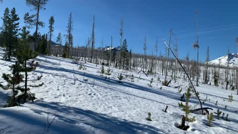 Traversing the Snowy Alpine Forest – Upper Three Creek Lake Sno-Park – Central Oregon – 4K