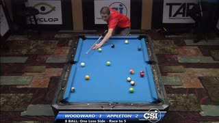 Darren Appleton vs Skyler Woodward ▸ 2014 US Bar Table 8-Ball Championship