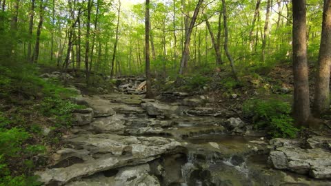 Fagan Springs - Wildflower Trail - Monte Sano - Huntsville, Alabama - DJI FPV Drone