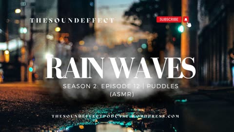 Rain Waves | Season 2: Episode 12 | Puddles (ASMR) #asmrsounds #rainsoundsforsleep #rainsounds