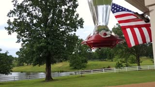 Memorial Day Hummers - Happy Memorial Day