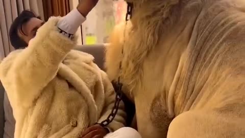 Life style of Dubai king with Lion